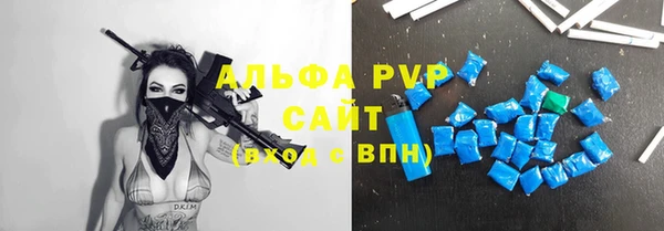 хмурый Алзамай