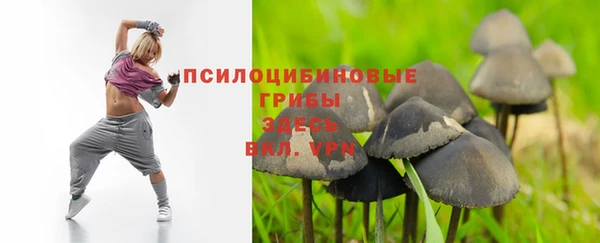 дживик Алексеевка