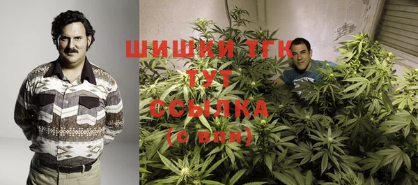 хмурый Алзамай