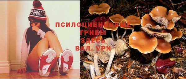 дживик Алексеевка