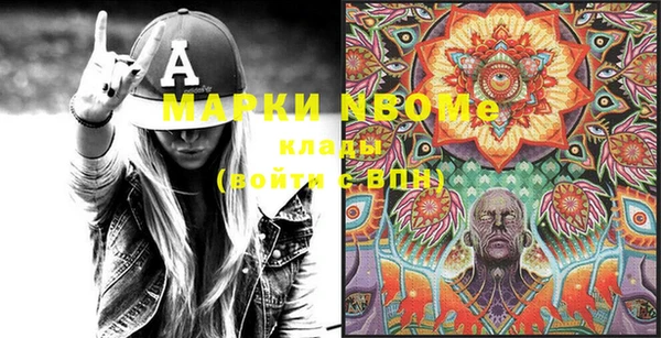 хмурый Алзамай