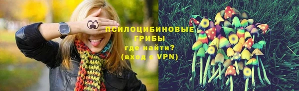 прущие крисы Алексин