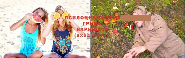 дживик Алексеевка