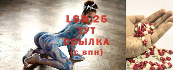 индика Осинники